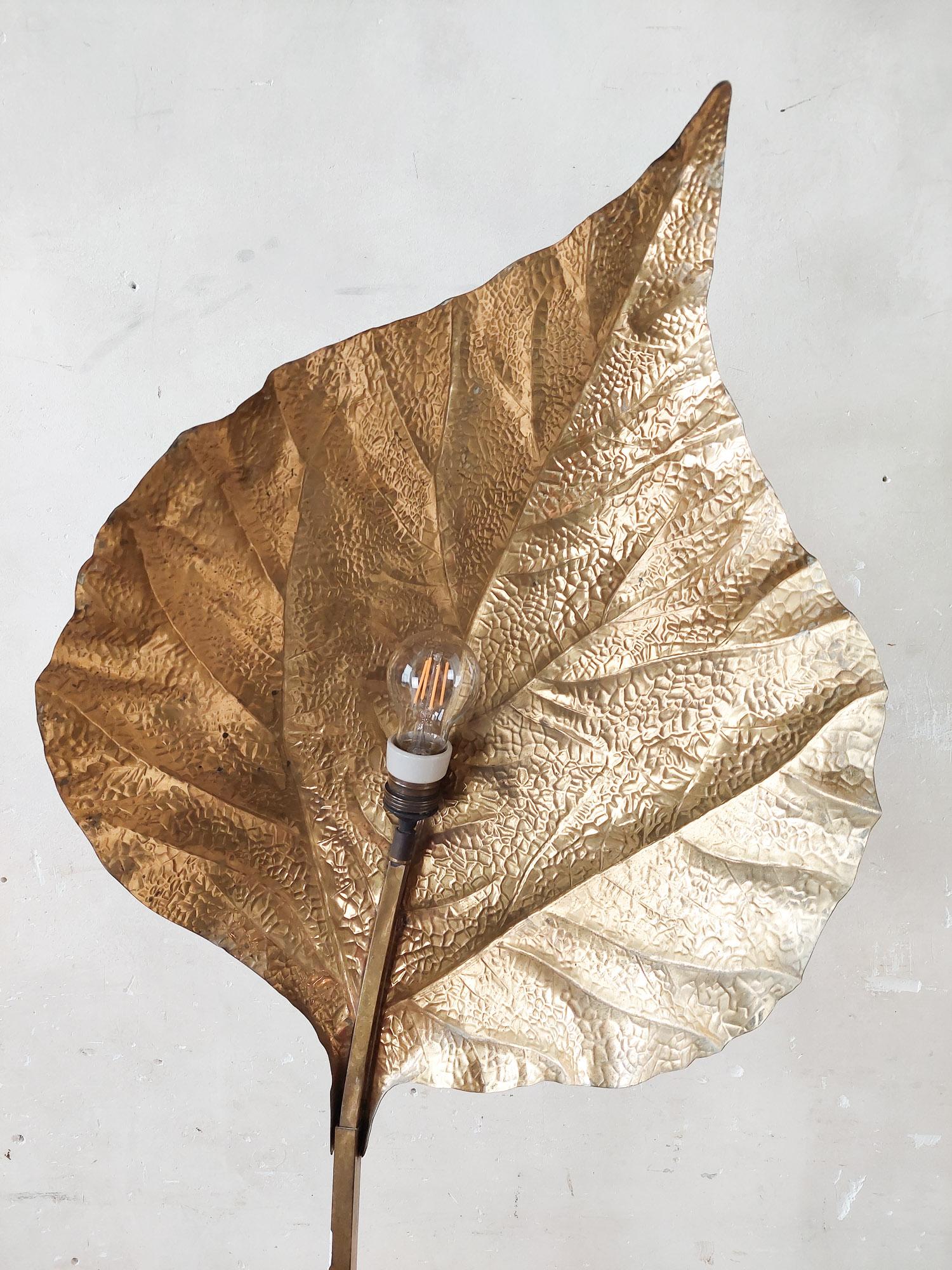 Tommaso Barbi rhubarb leaf brass floor lamp for Carlo Giorgi, Italy, 1970s 7