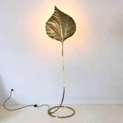Tommaso Barbi Rhubarb Leaf Floor Lamp, circa 1970, Italy
