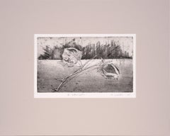 "II Cottonballs" - Stampa calcografica di Tomoya Uchida