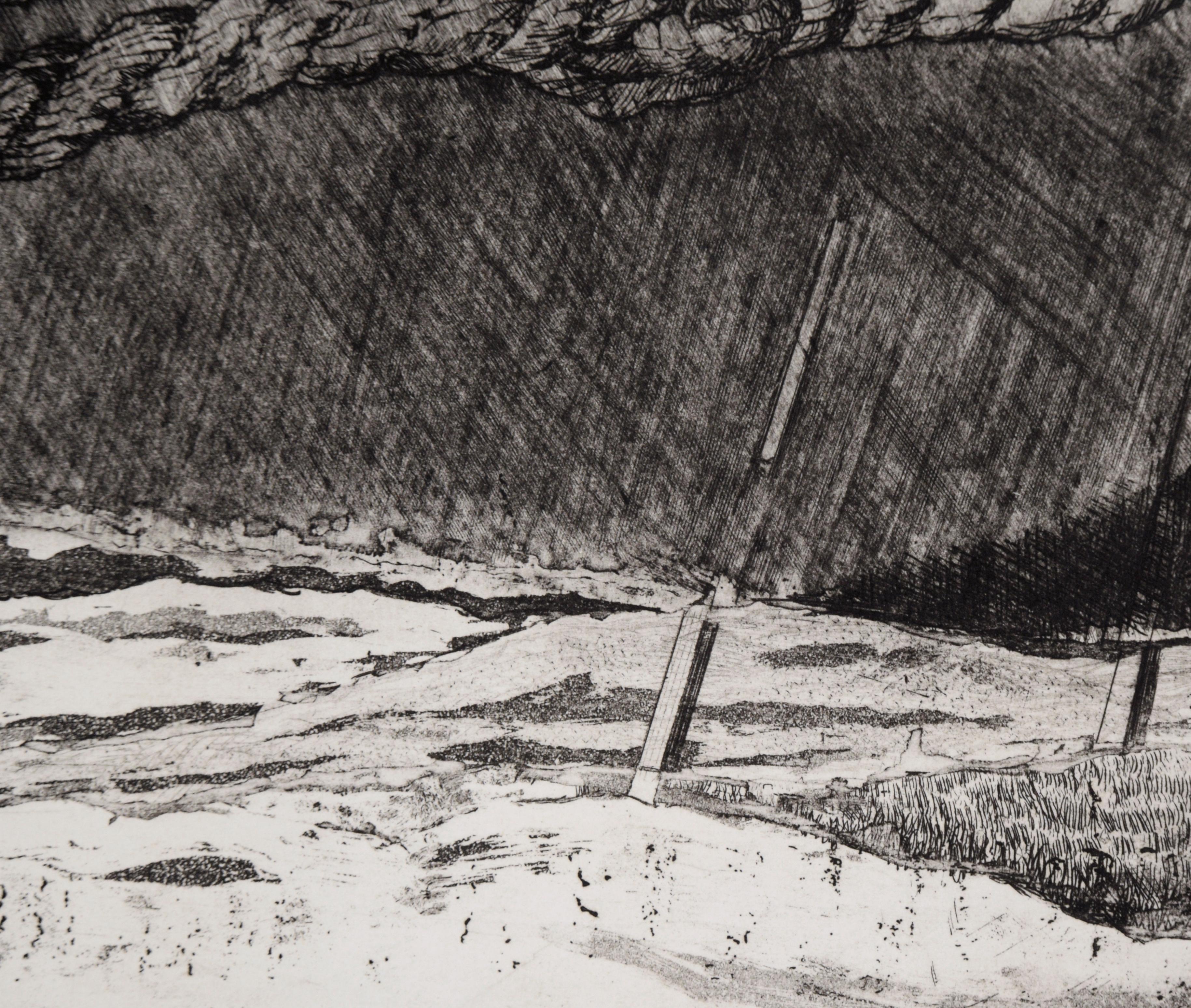Abstracted dry point etching by Tomoya Uchida (Japanese, 20th Century). Two walnuts sit in an abstracted space, with ropes in the background. 

Titled 