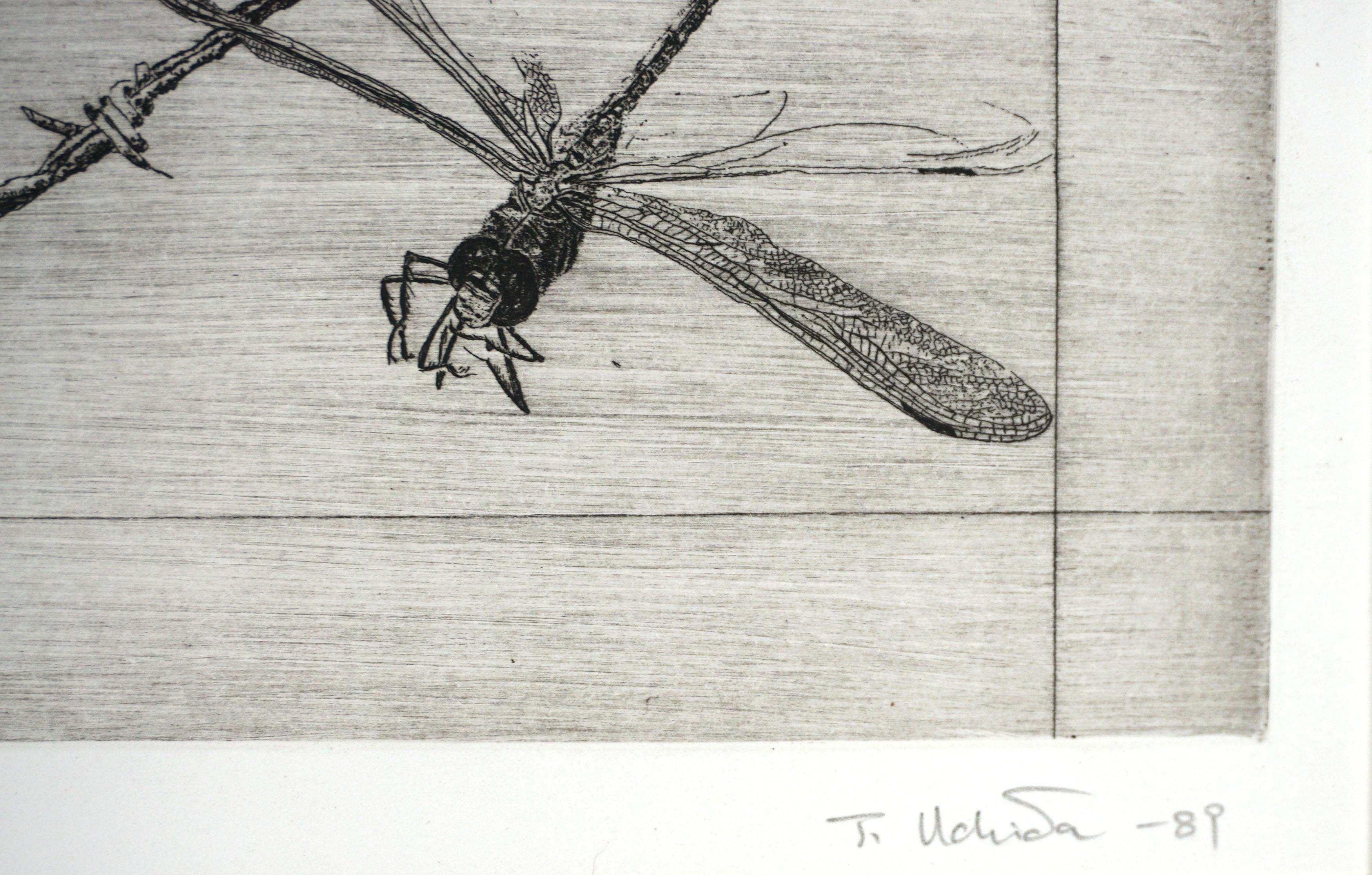 Wonderful and evocative abstracted dry point etching of dragon fly and barbed wire titled 