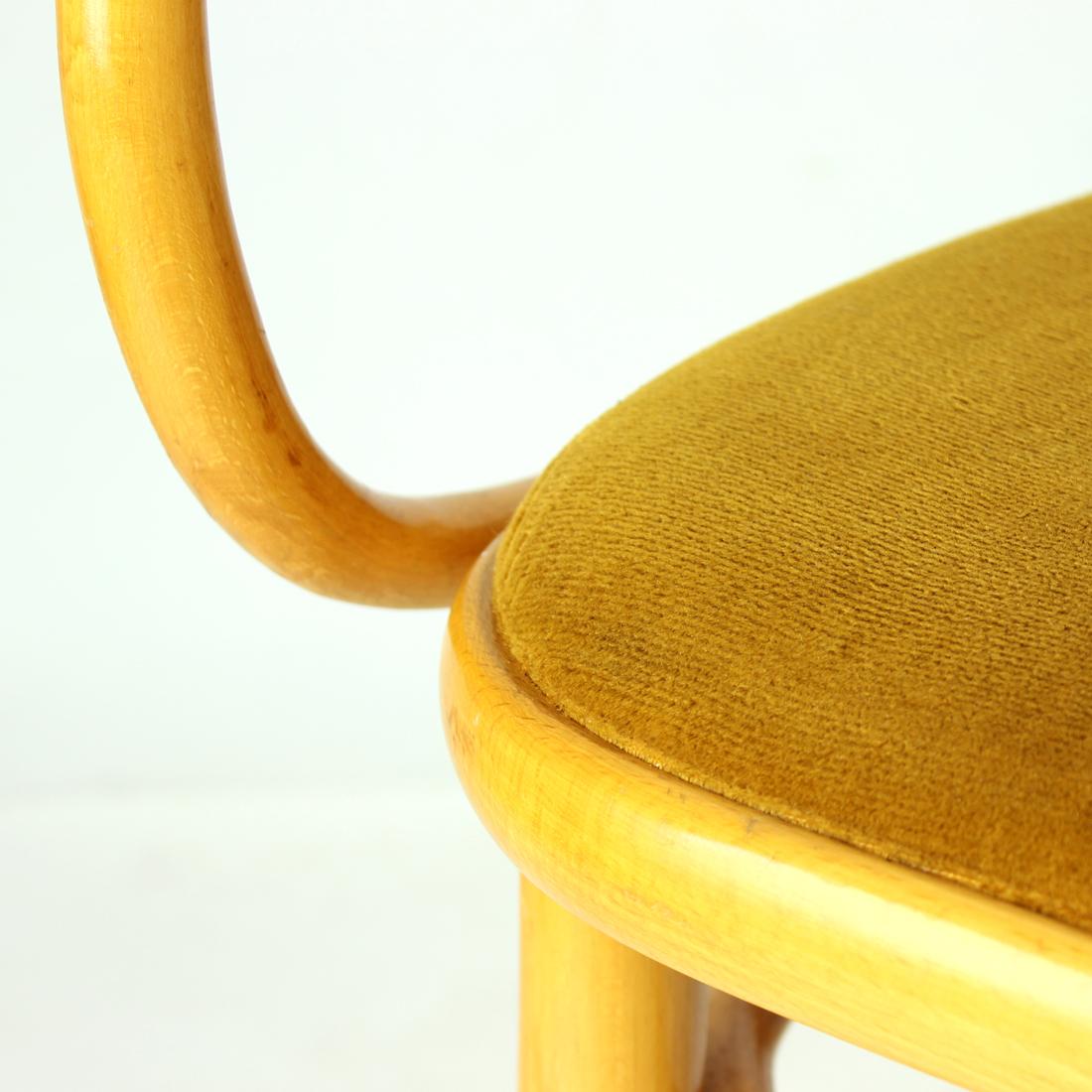 Ton Bentwood Armchair With Gold Velvet, Czechoslovakia 1930s, 40 Available For Sale 5