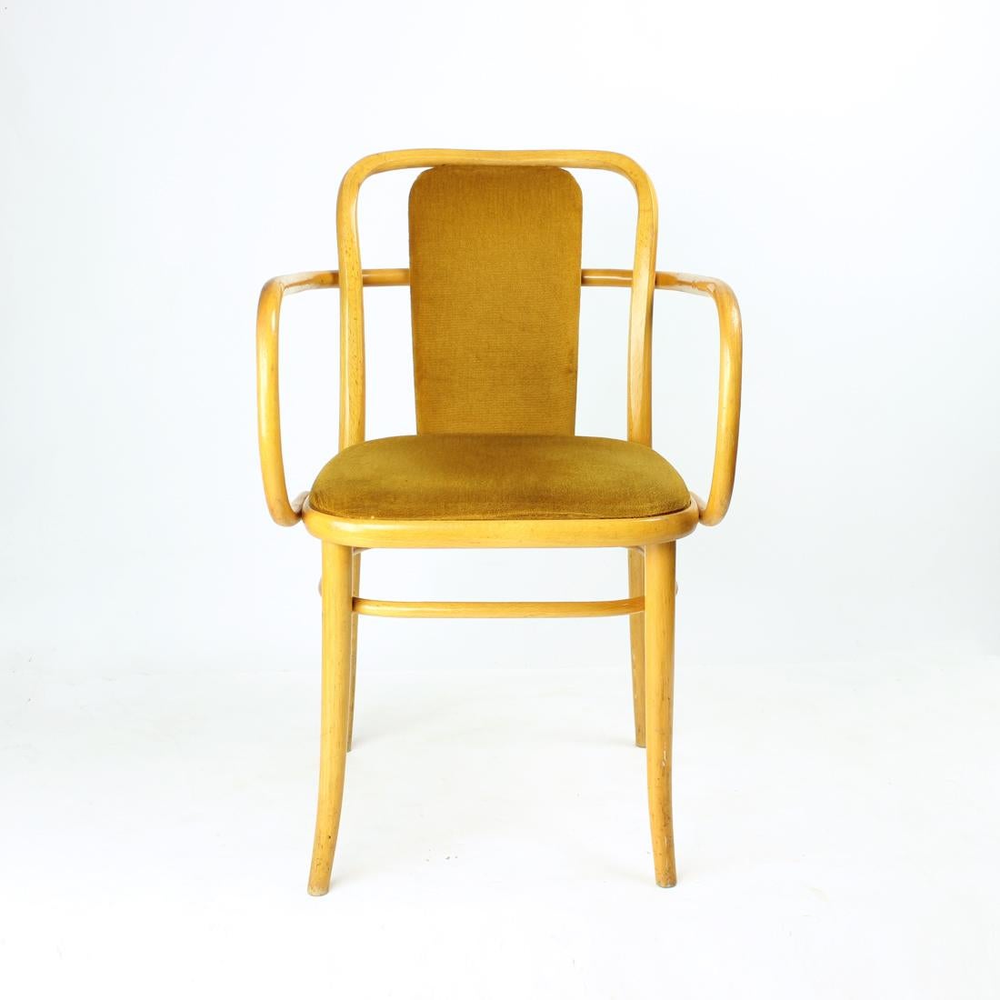 Iconic and elegant armchair produced by TON in Czech republic in 1930s. This particular chair is a variation on the classic model '811' Thonet Hoffman chair. Produced in blond wood oak bentwood. Original gold velvet fabric on the seat and backrest. 
