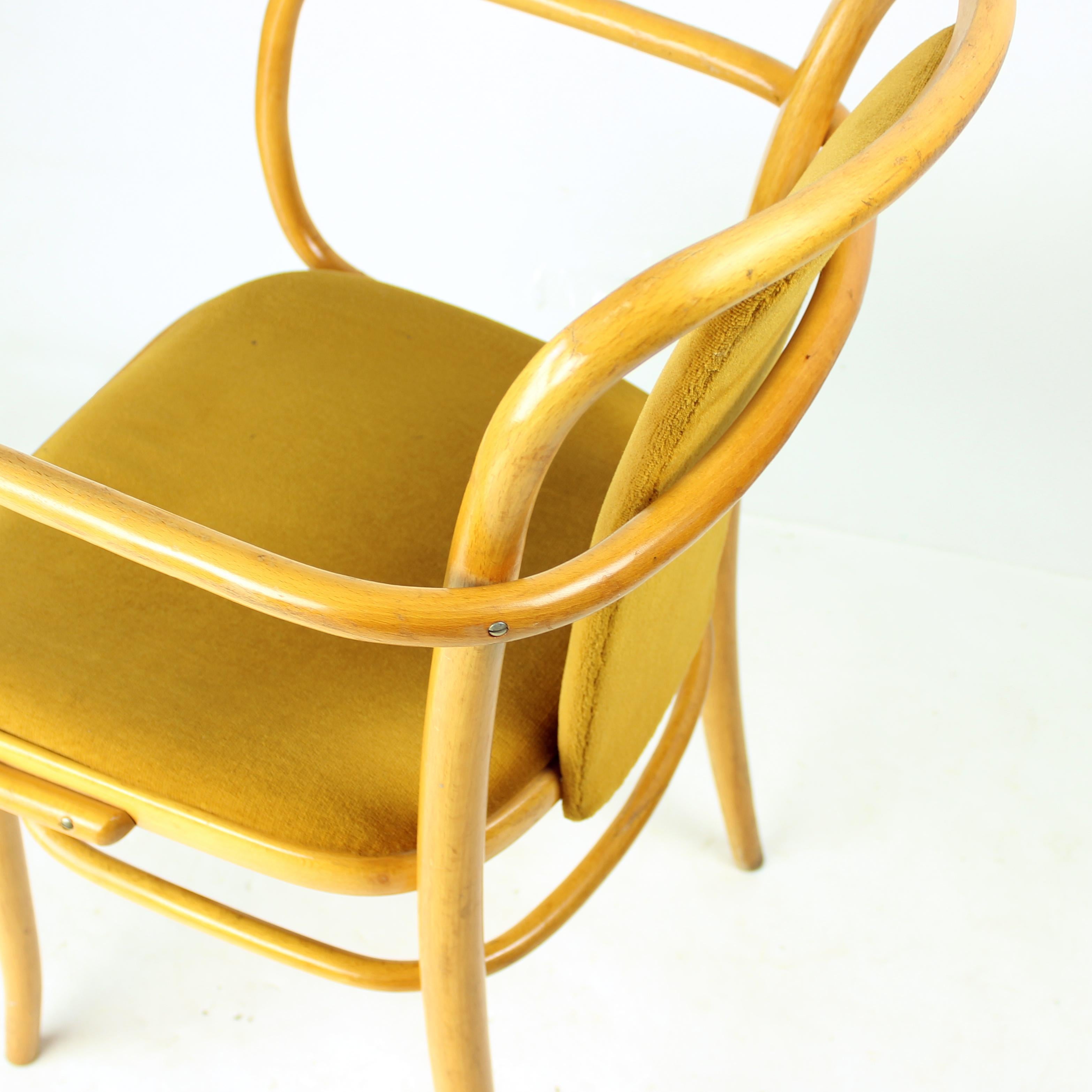 Ton-Sessel aus Bugholz mit goldenem Samt, Tschechoslowakei 1930er Jahre, 40 verfügbar im Angebot 1