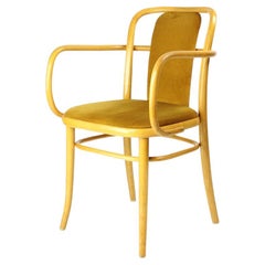 Ton Bentwood Armchair With Gold Velvet, Czechoslovakia 1930s, 40 Available