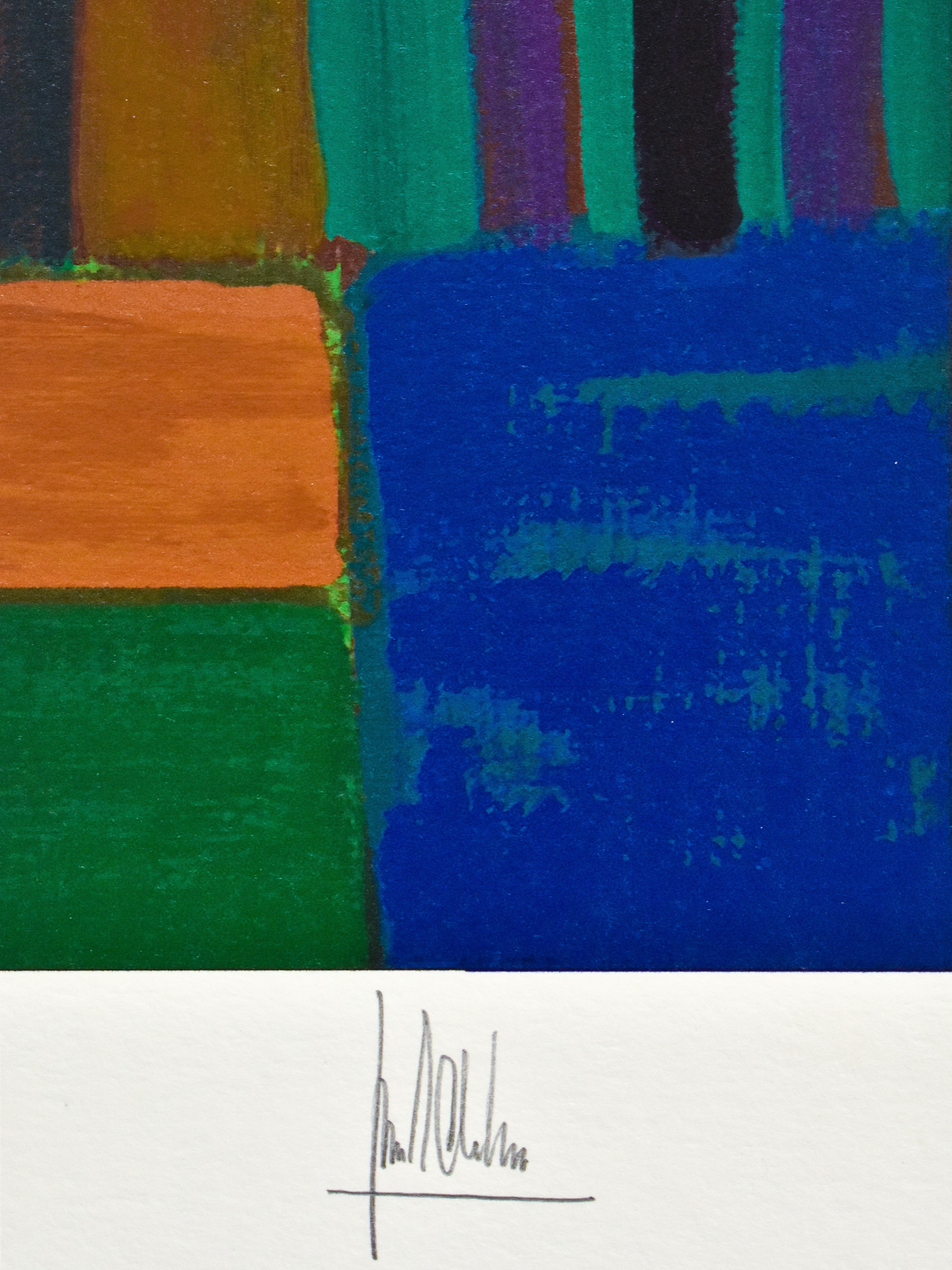Rondom de Hoeve II - Ton Schulten -  Seriegraphe - 2009 - 73/180 en vente 5
