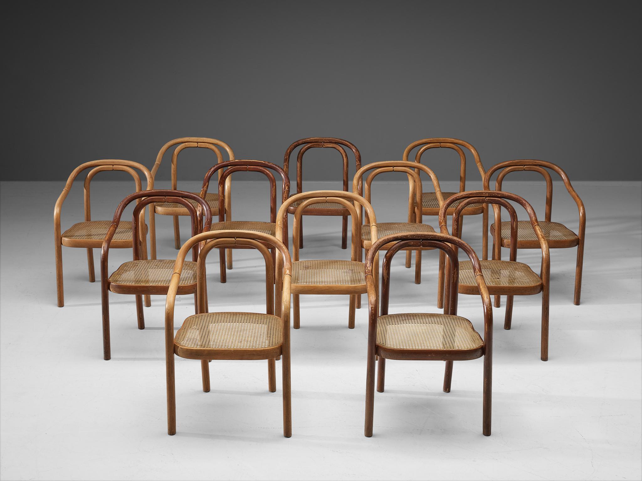Mid-Century Modern Ton Set of Twelve Dining Chairs in Bentwood and Webbing