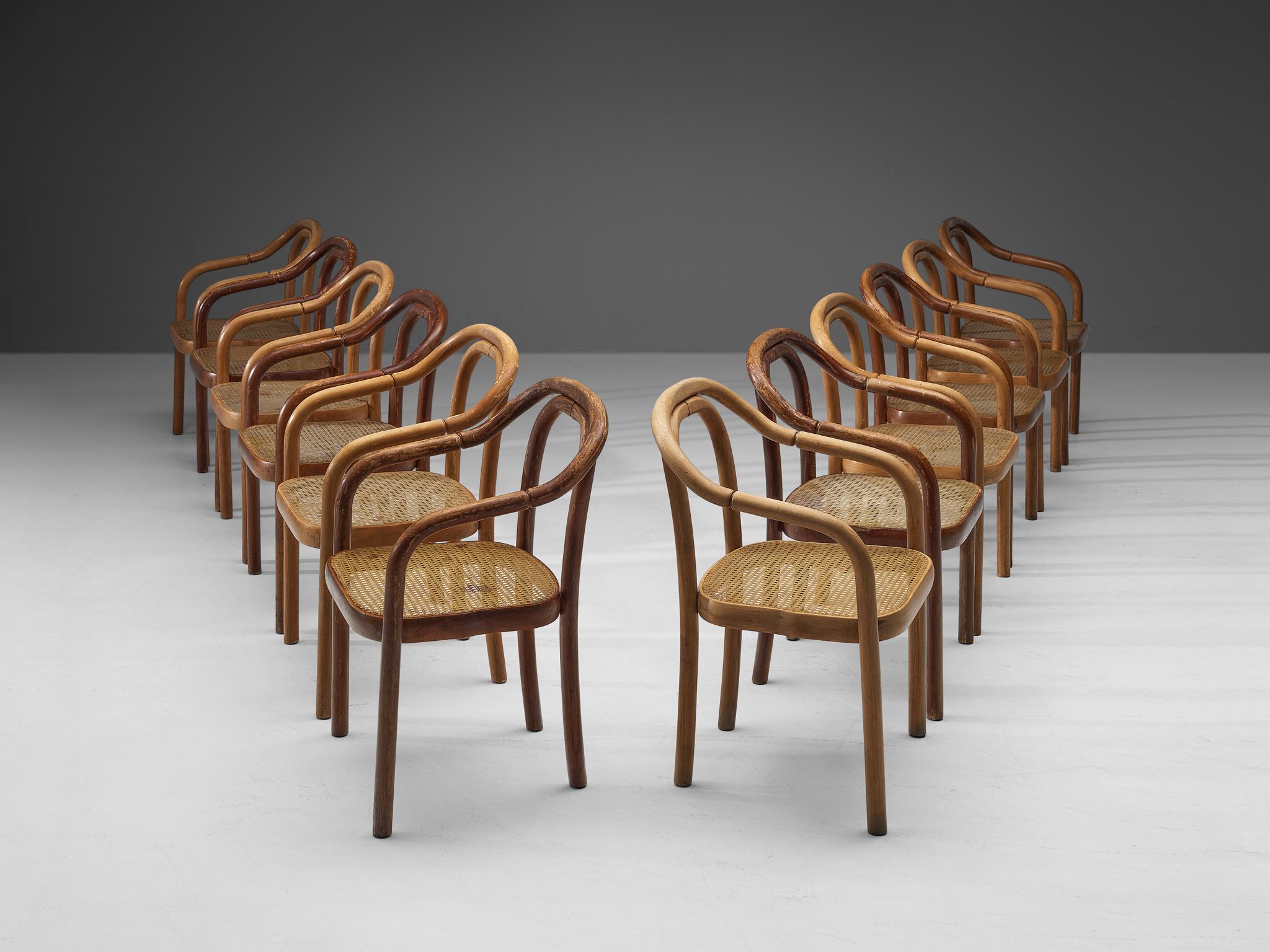 Ton Set of Twelve Dining Chairs in Bentwood and Webbing 1
