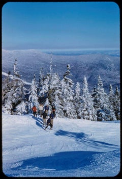 A Mountain View 1955 Limited Signature Stamped Edition 