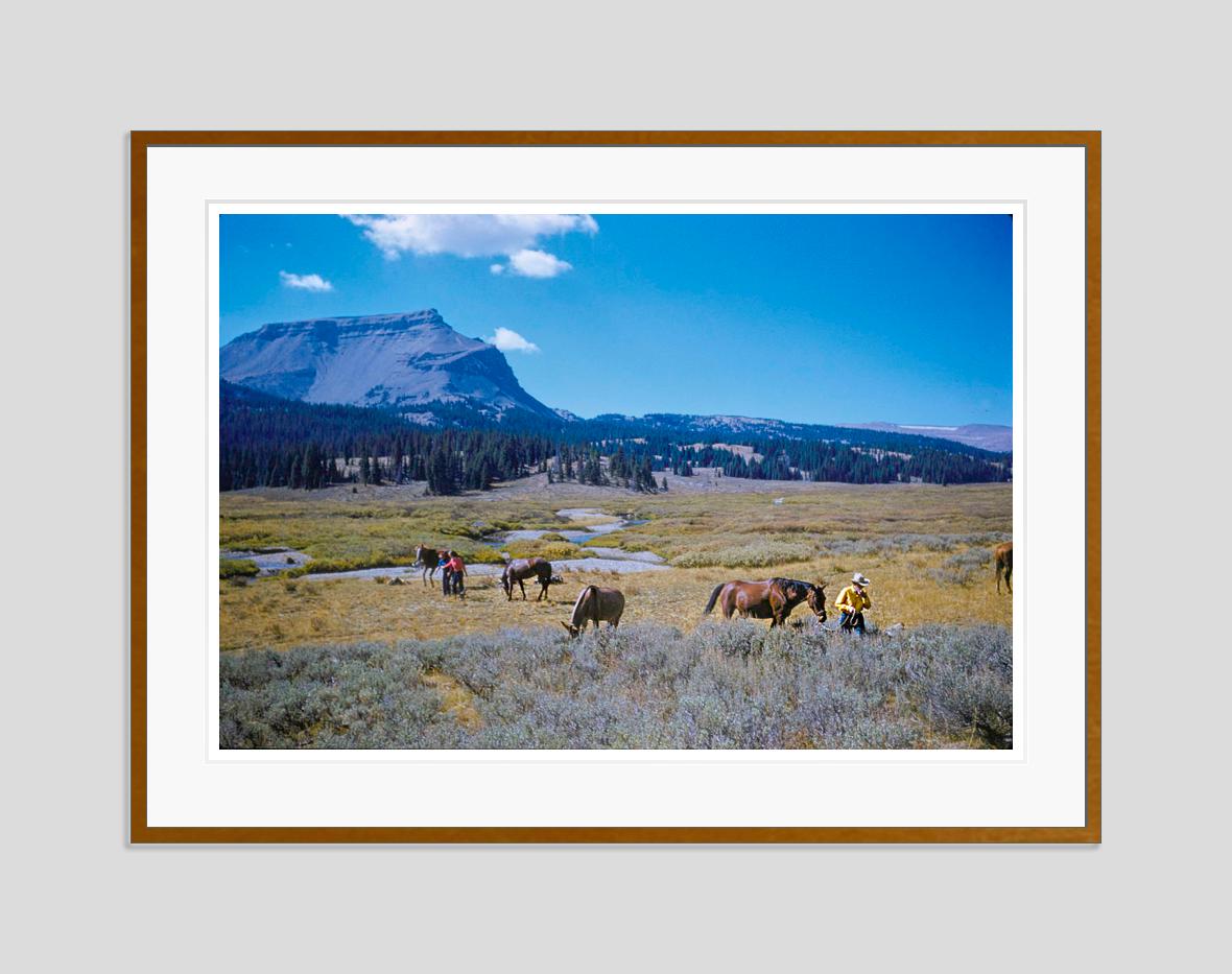 A Pack Trip In Wyoming 1960 Limited Signature Stamped Edition  - Photograph by Toni Frissell