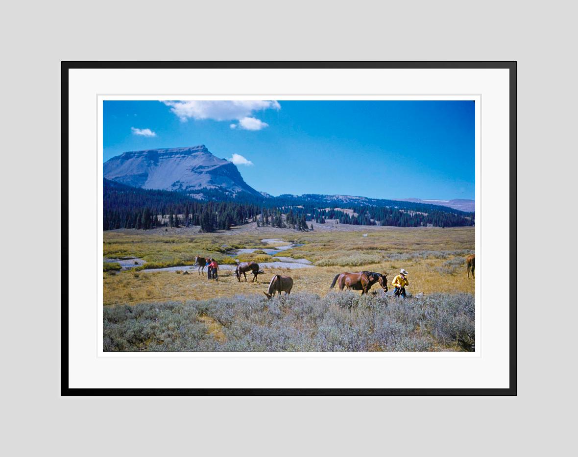 A Pack Trip In Wyoming

1960

Holiday makers at a Wyoming dude ranch enjoy a pack trip across a spectacular landscape, USA, 1960. 

by Toni Frissell

40 x 30 