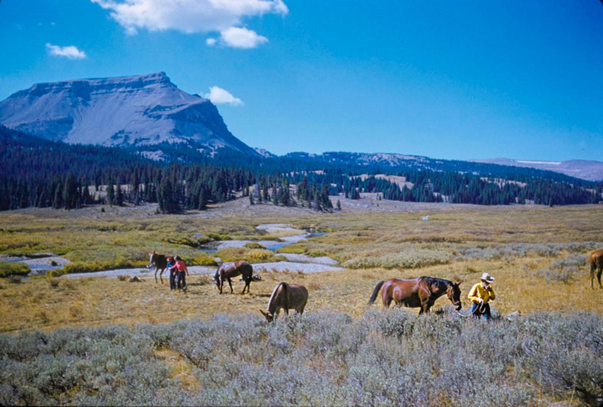 Color Photograph di Toni Frissell - A Pack Trip In Wyoming 1960 Edizione limitata con timbro autografo