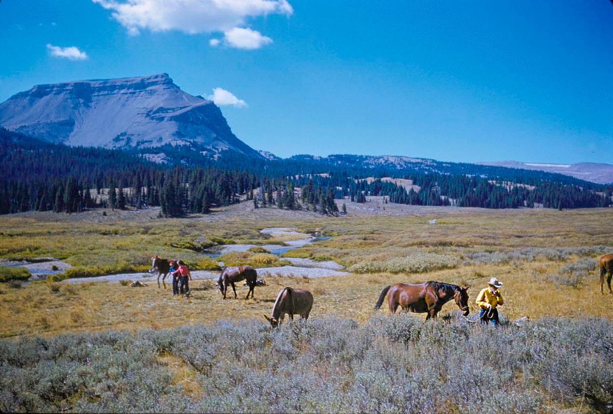 Toni Frissell Color Photograph - A Pack Trip In Wyoming 1960 Limited Signature Stamped Edition 