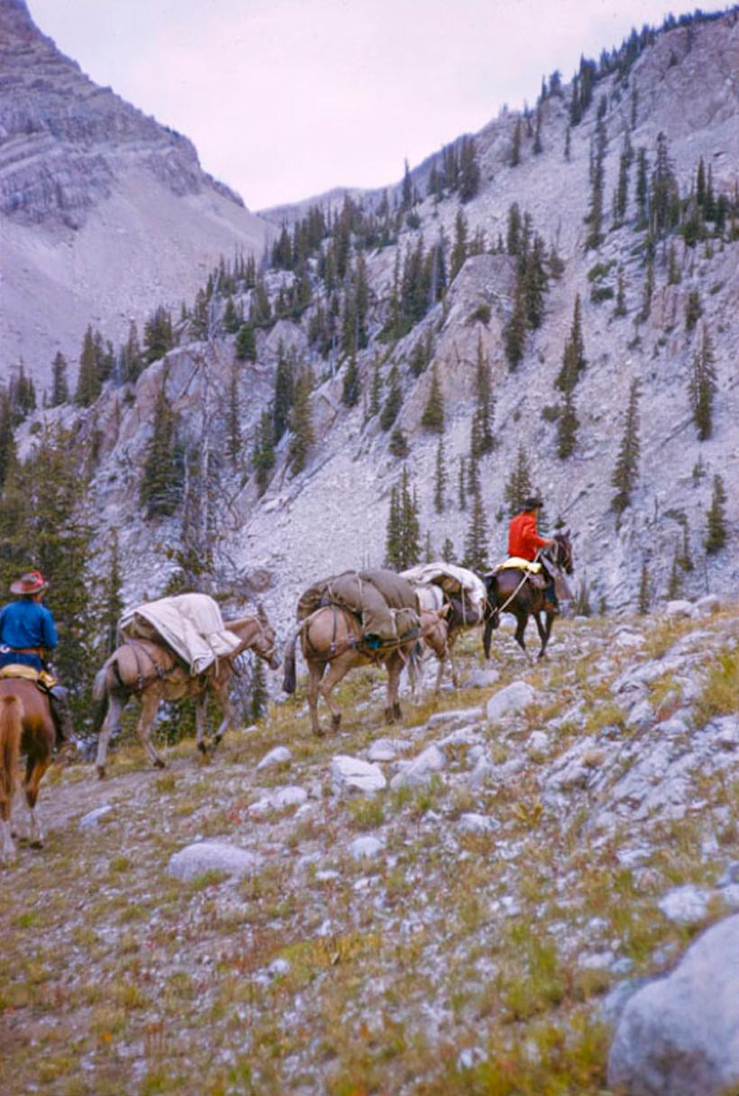 Toni Frissell Color Photograph – A Pack Trip In Wyoming, 1960, limitierte, gestempelte Auflage 