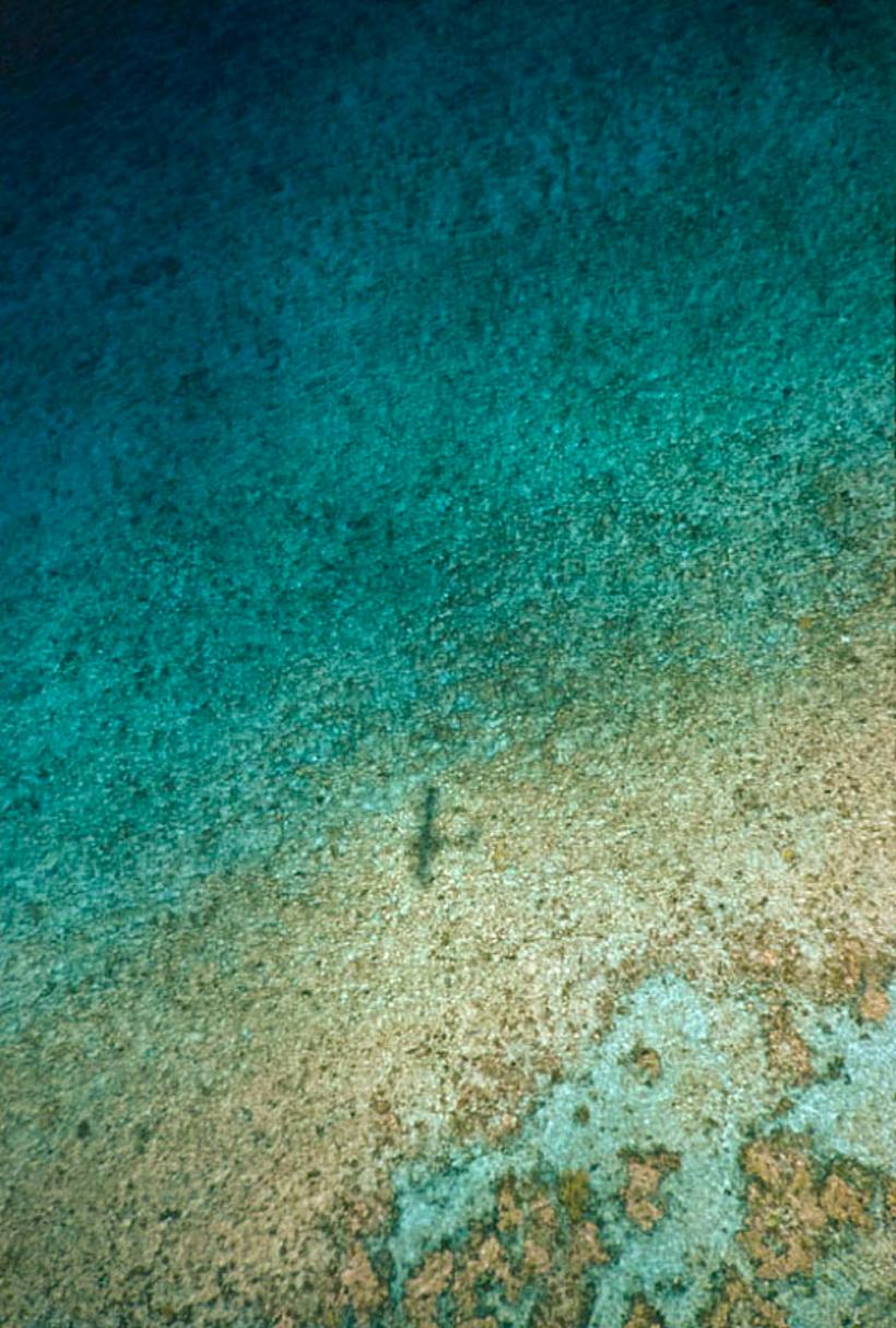 Color Photograph de Toni Frissell - A Seaview In Nassau 1960 Edición limitada sobredimensionada con sello de firma