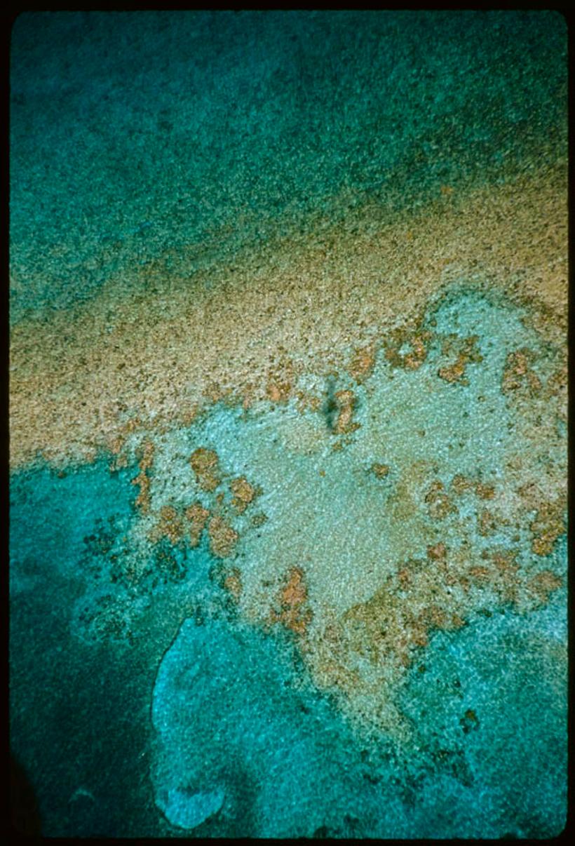 Color Photograph de Toni Frissell - A Seaview In Nassau 1960 Edición limitada sobredimensionada con sello de firma