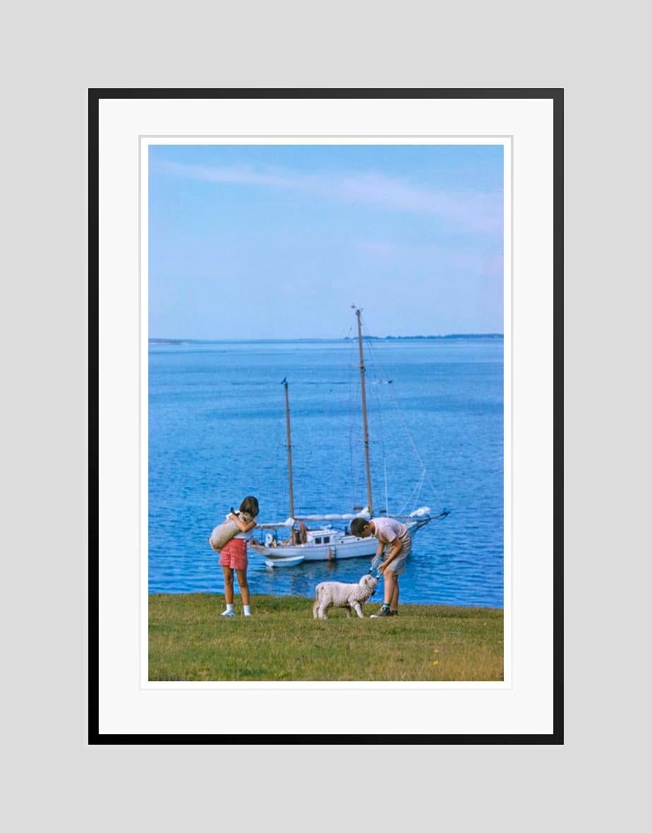 A Summer Yachting Trip 
1958

Children feed lambs ashore while on a yachting trip in Maine, USA, 1958

by Toni Frissell

20 x 24