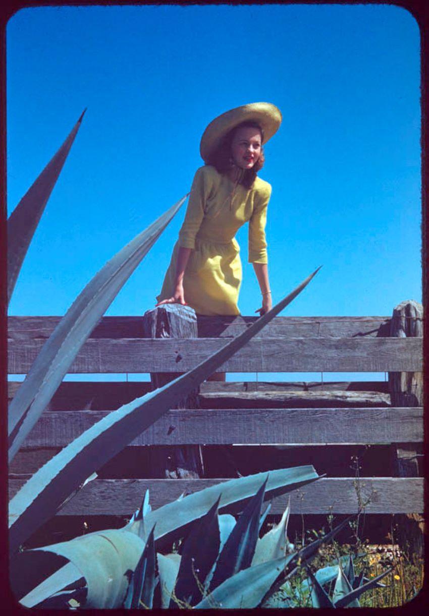 Toni Frissell Color Photograph - Girl In Yellow 1944 Limited Signature Stamped Edition 