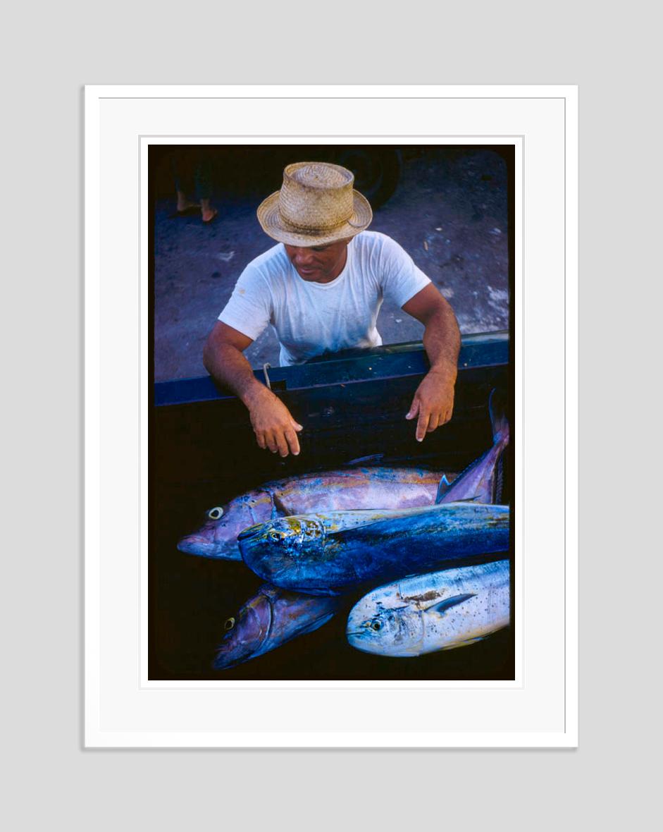 Hawaiian Scenes 1957 Limited Signature Stamped Edition - Modern Photograph by Toni Frissell