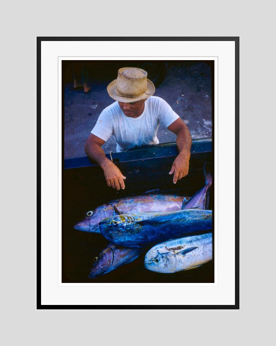 Hawaiian Scenes 

1957

A Hawaiian fisherman considers his catch, Hawaii, USA, 1957

by Toni Frissell

16 x 20