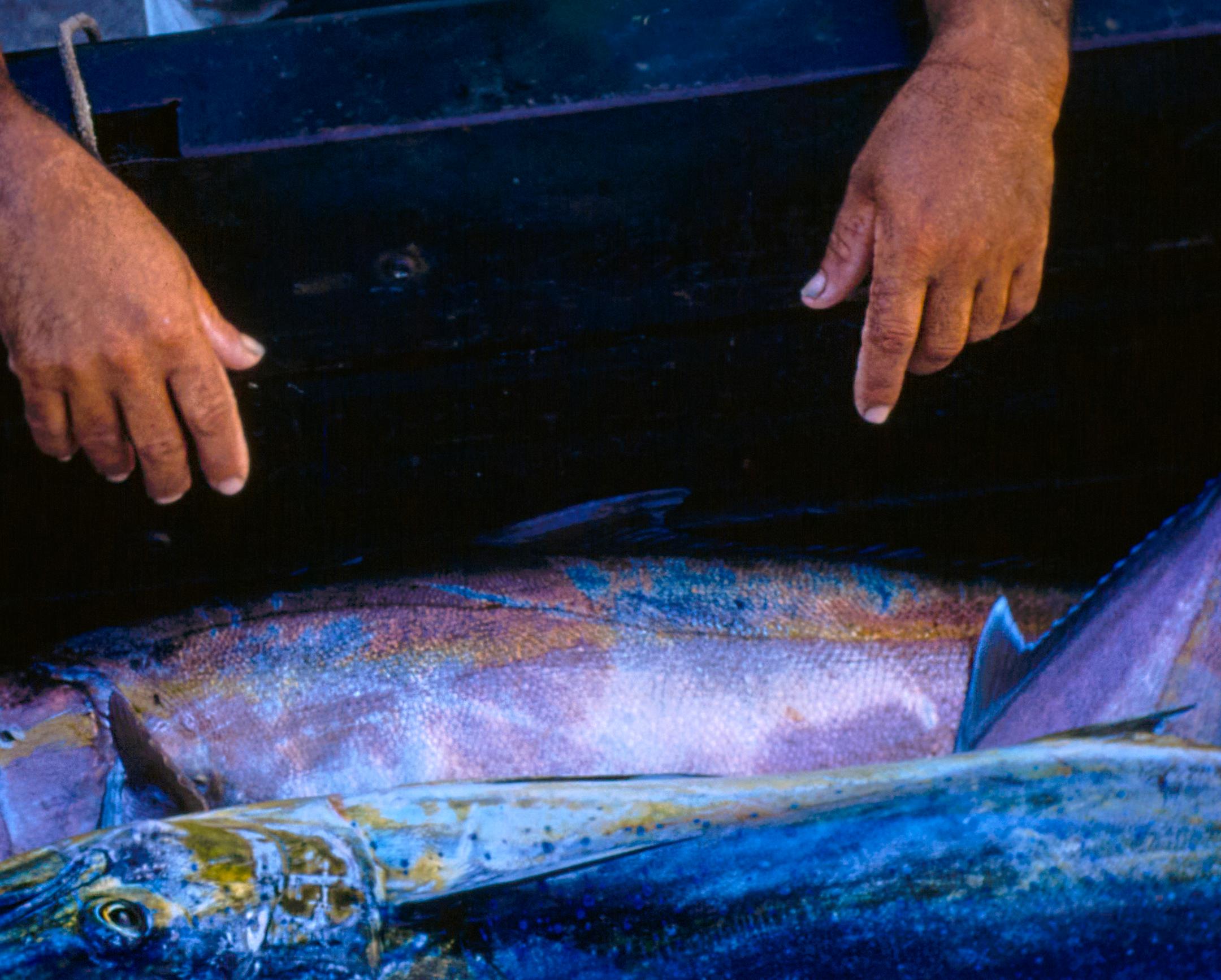 Hawaiianische Szenen in Übergröße, limitierte, gestempelte Auflage von 1957 (Moderne), Photograph, von Toni Frissell