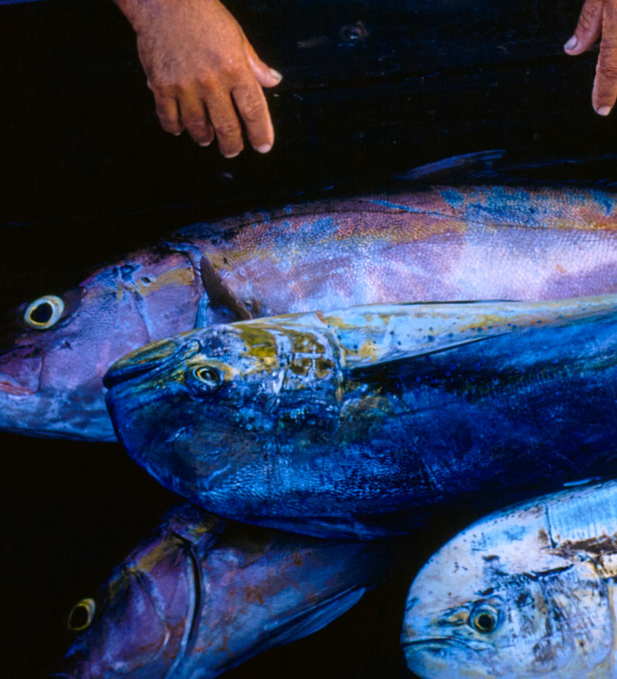 Escenas hawaianas 1957 Edición limitada sobredimensionada con sello de firma - Color Photograph Negro de Toni Frissell