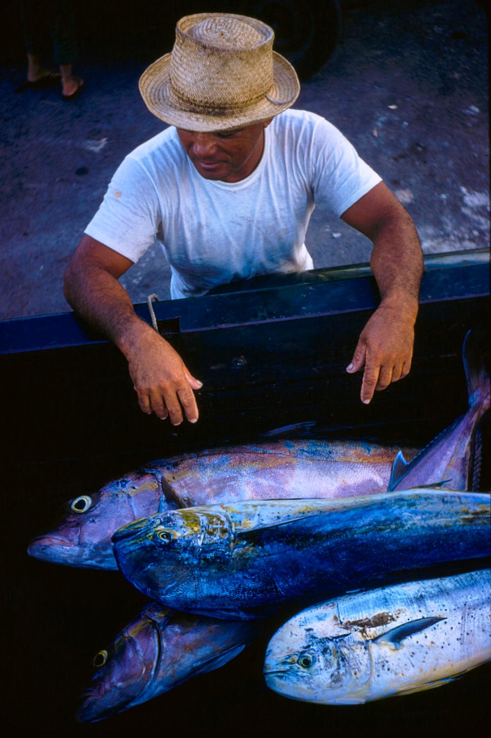 Color Photograph de Toni Frissell - Escenas hawaianas 1957 Edición limitada sobredimensionada con sello de firma