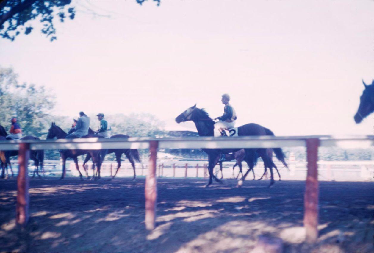 Toni Frissell Color Photograph – Pferderennen in Saratago, 1960, übergroß, limitierte, gestempelte Auflage 