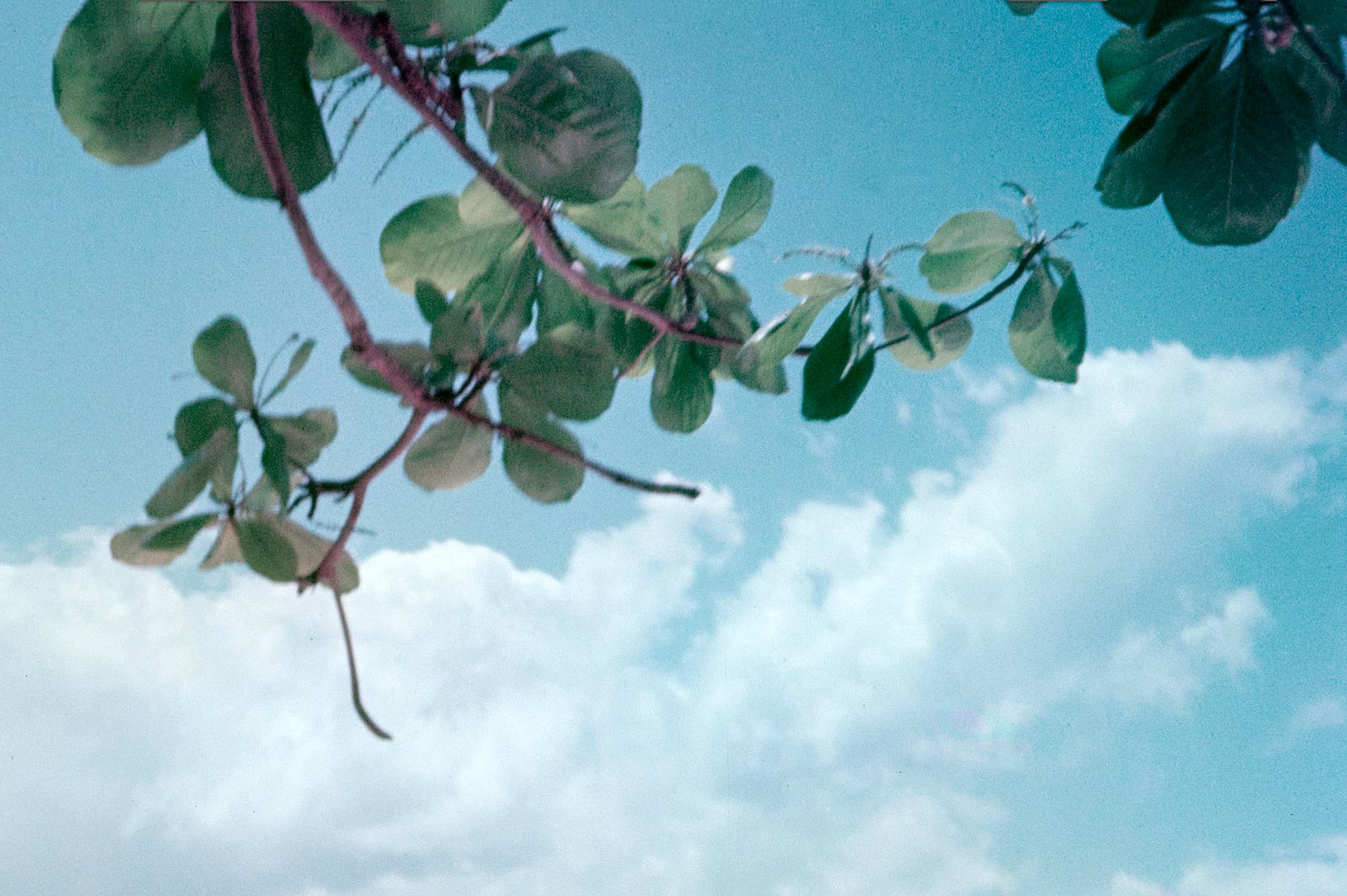 Jamaika Parasol 1948 Limitierte, gestempelte Ausgabe im Angebot 1