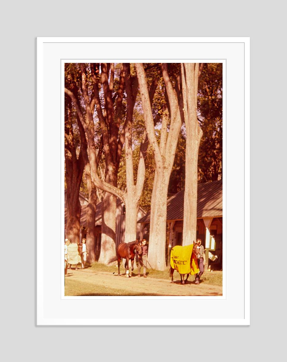 Poolside In Capri 1959 Edición Sobredimensionada Estampada Firma Limitada - Photograph de Toni Frissell