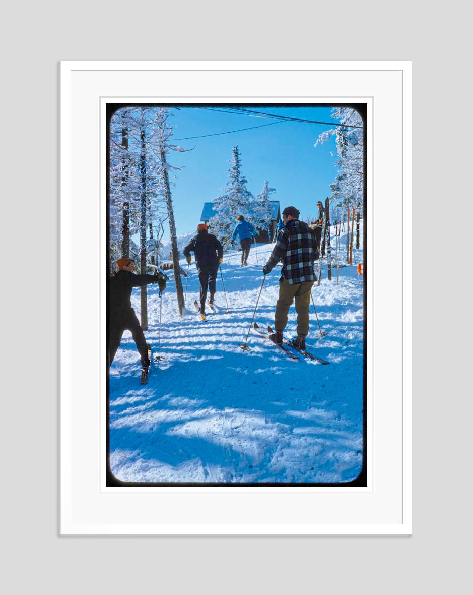 Esquiadores en el bosque 1955 Edición limitada sobredimensionada con sello de firma - Photograph de Toni Frissell