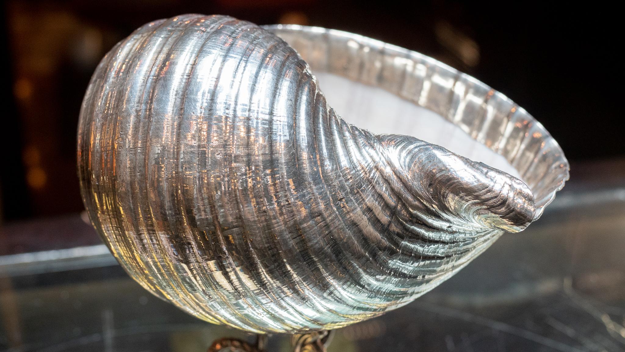 Silvered Tonna ‘Delfini’ Sea Shell on Trifold Piscine Sterling Silver Base In Good Condition In New York, NY