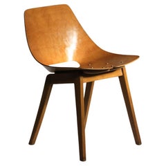 Used Tonneau chair by pierre guariche from the 60s in solid wood