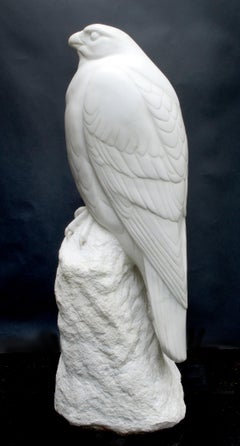 Noble Falcon 