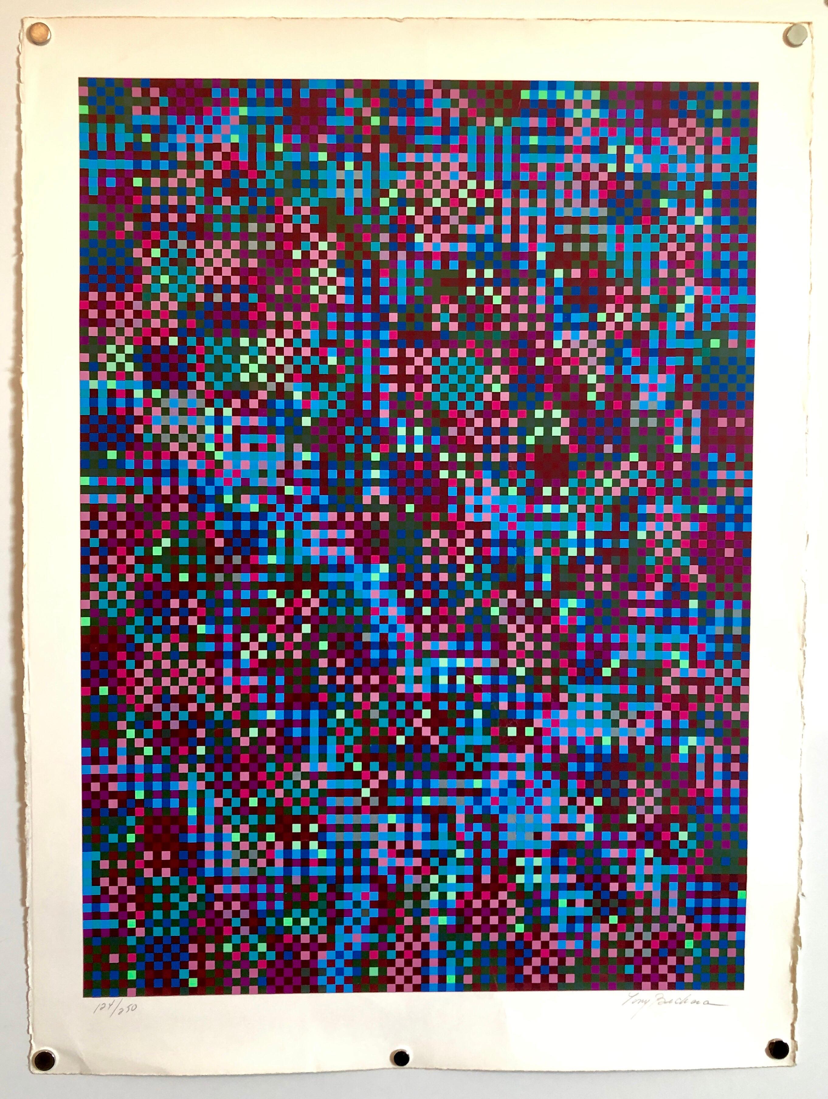 Puerto Rican Abstract Geometric Op Art Silkscreen Lithograph Kinetic Art For Sale 2