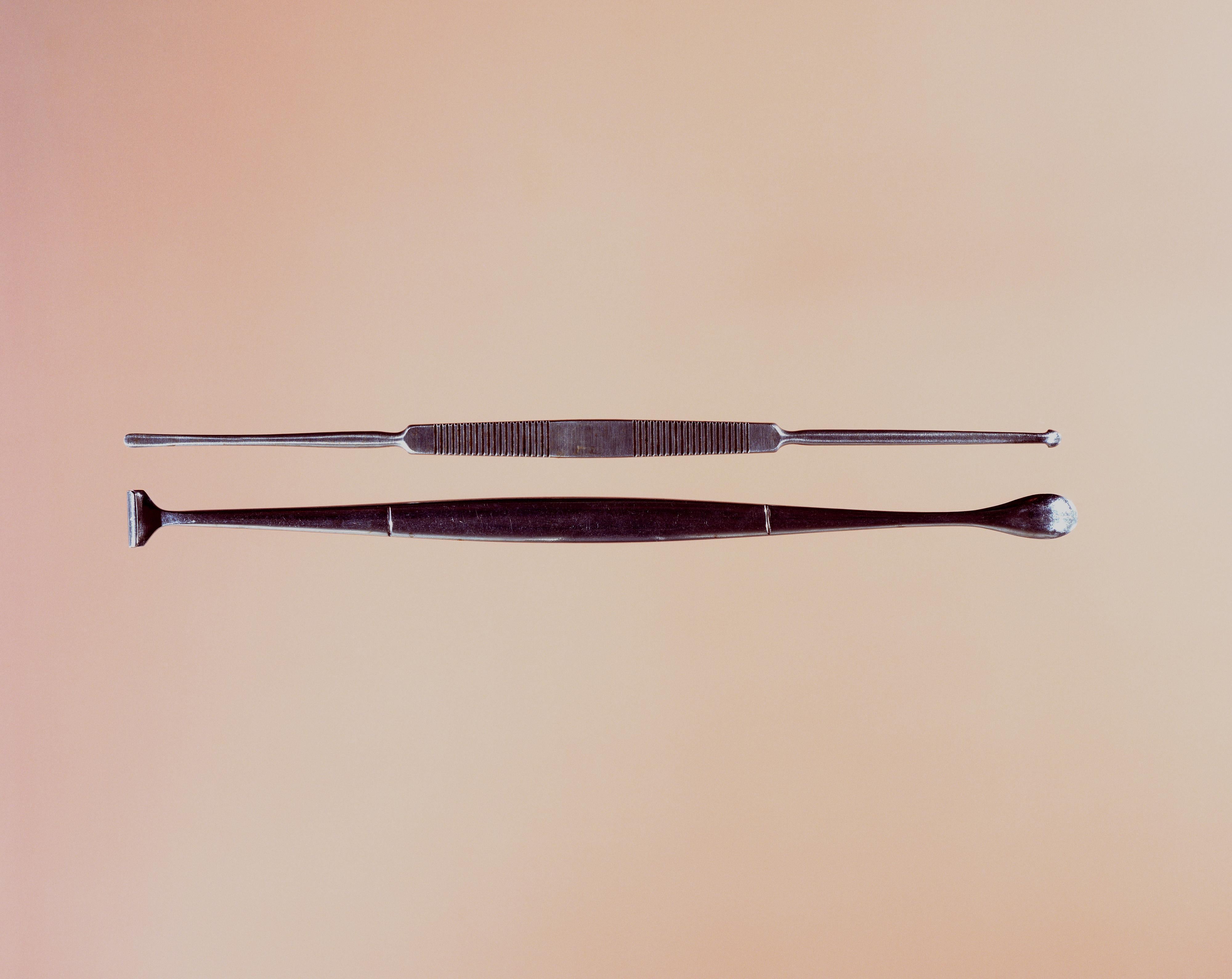 Tony Chirinos Still-Life Photograph – Hurd Dissector, Penfield #1