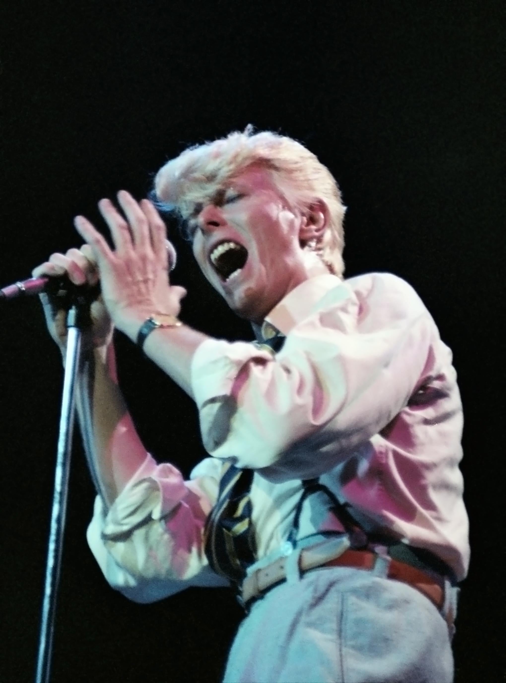 Tony Defilippis Portrait Photograph - David Bowie Singing in "Serious Moonlight" Tour Fine Art Print