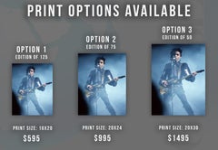 Prince: His Royal Badness Fine Art Print