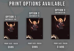 Robert Plant in Concert Fine Art Print