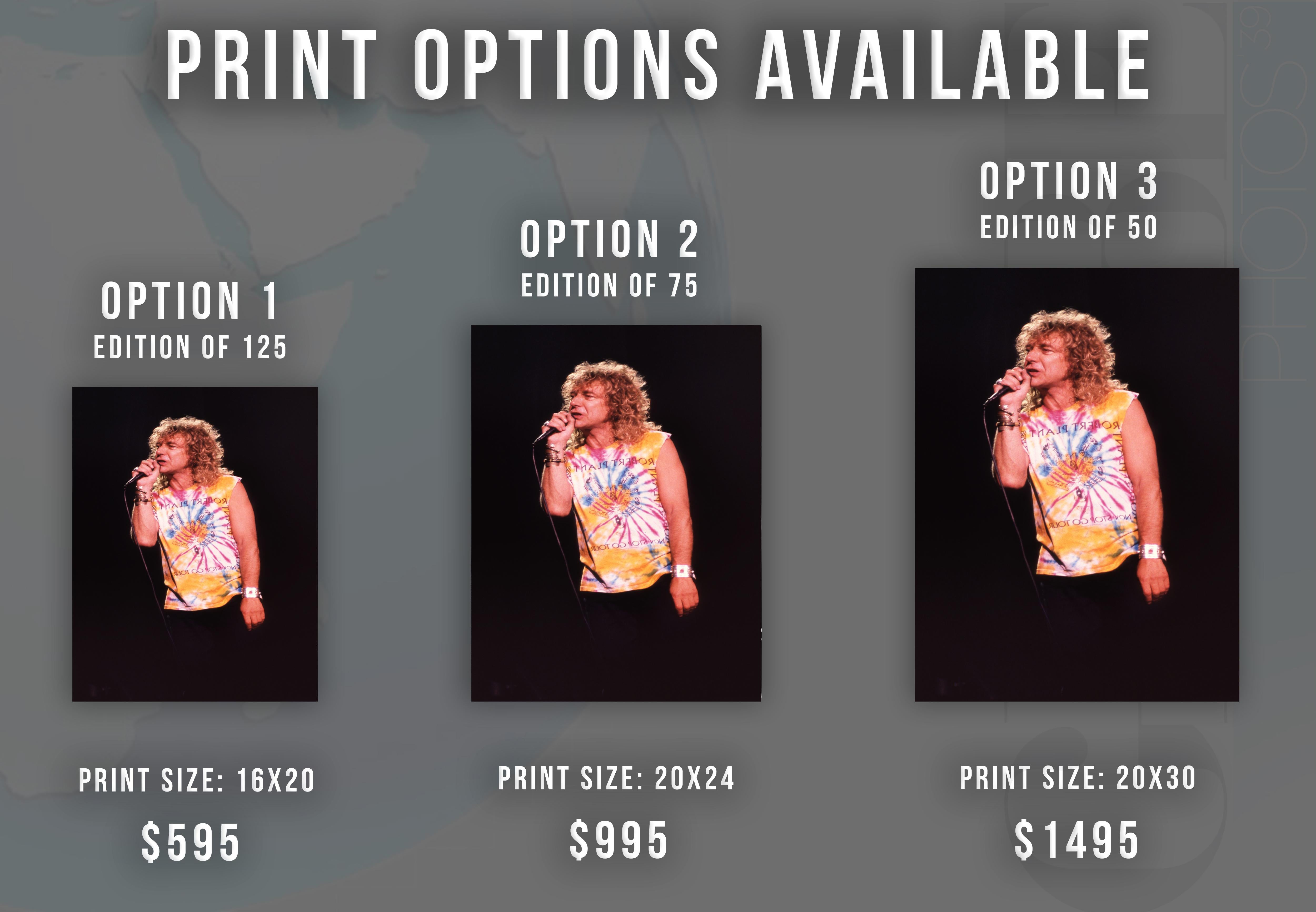 Robert Plant Performing in Tie DyeFine Art Print - Photograph by Tony Defilippis