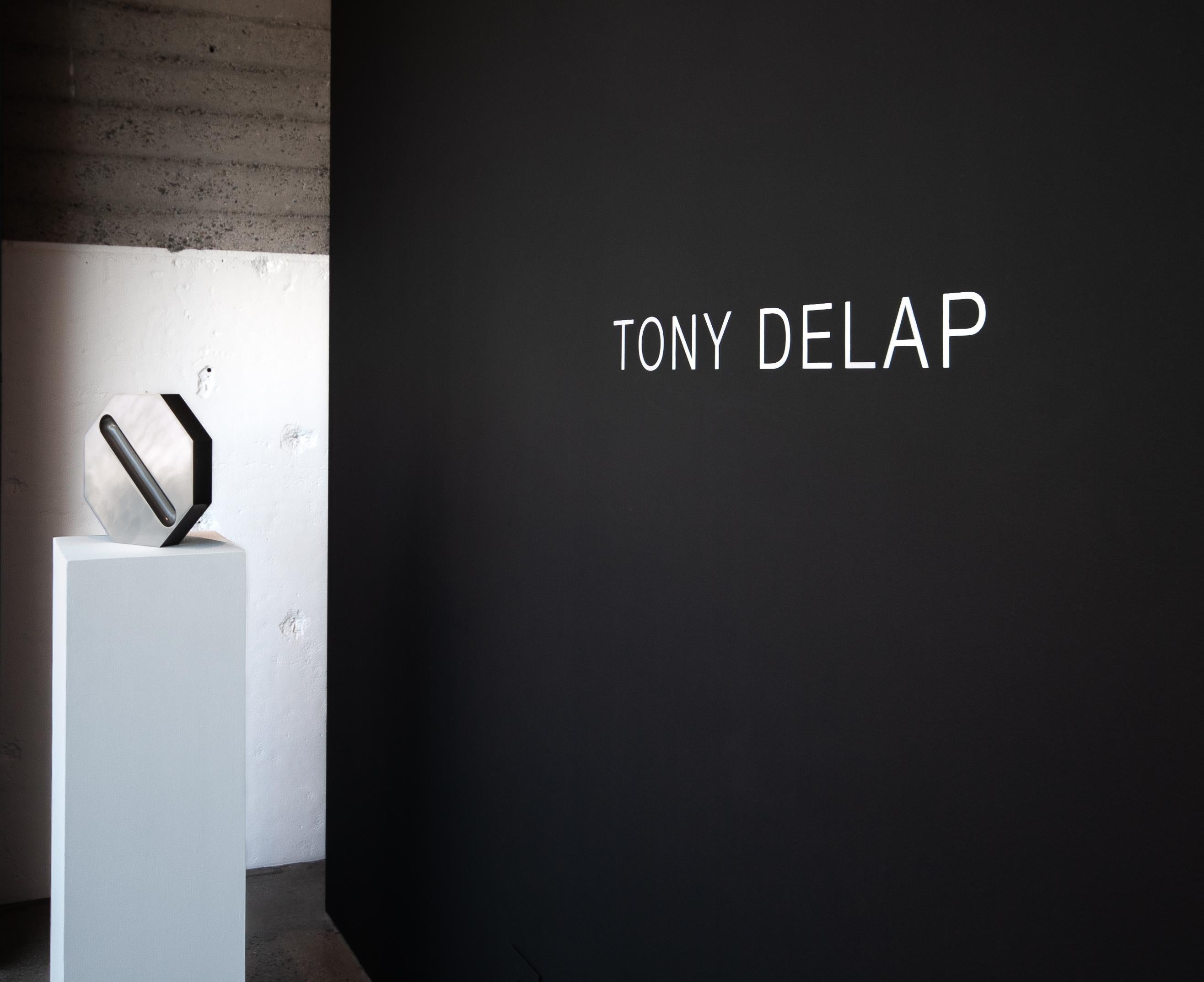 Tony DeLap 