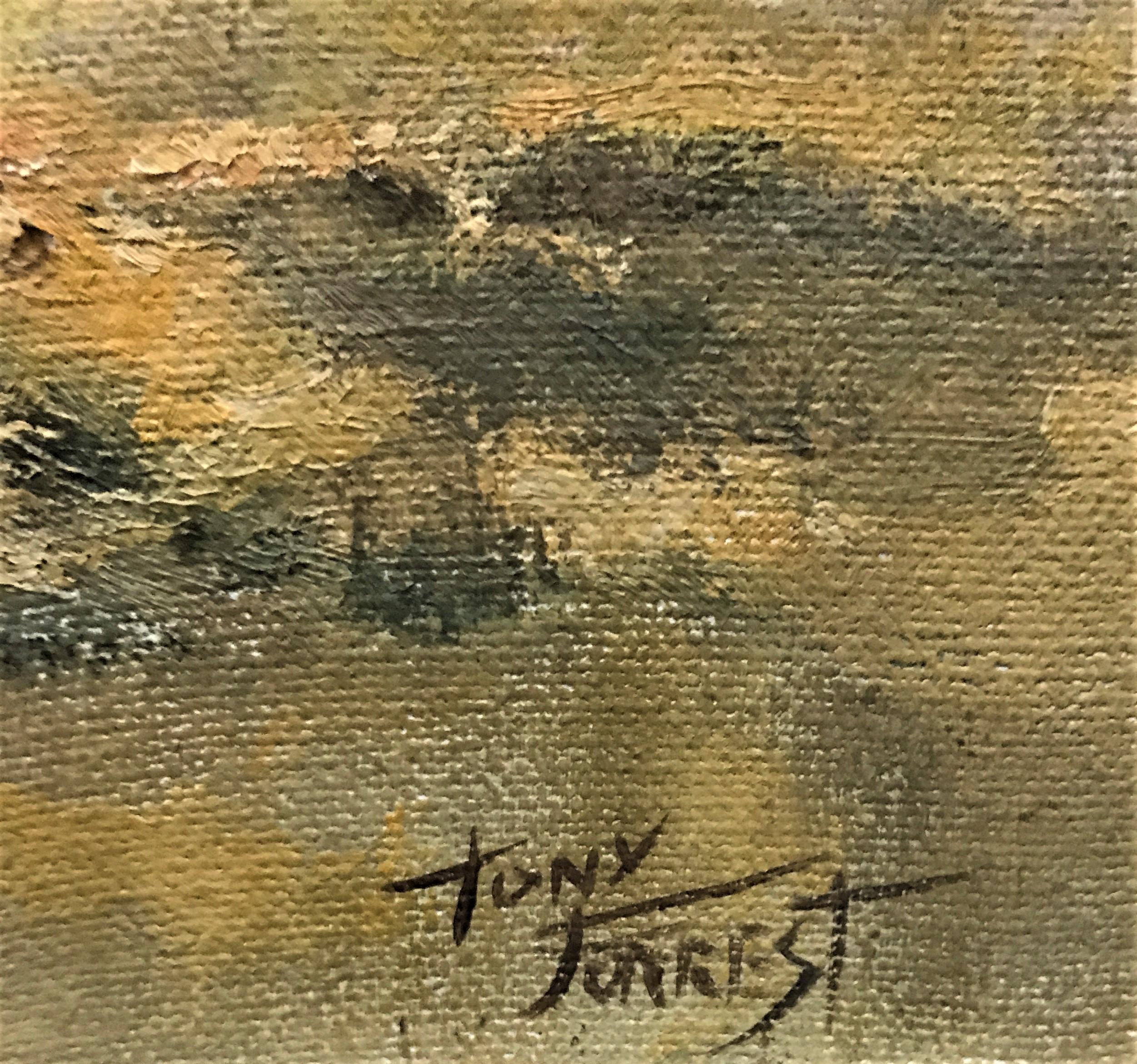 Búfalo del Cabo en la Sabana, óleo original sobre lienzo, artista británico contemporáneo - Landscape Painting Marr�ón de Tony Forrest