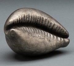 "Cowrie Shell" (2024) By Tony Hochstetler, Original Bronze Sculpture