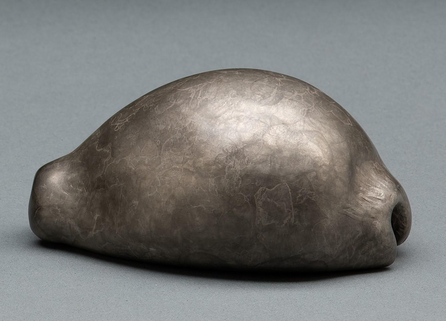 «owrie Shell » (2024) par Tony Hochstetler, sculpture originale en bronze 3