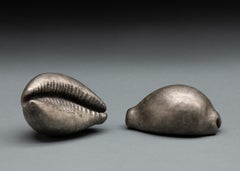 "Cowrie Shell" (2024) By Tony Hochstetler, Original Bronze Sculpture
