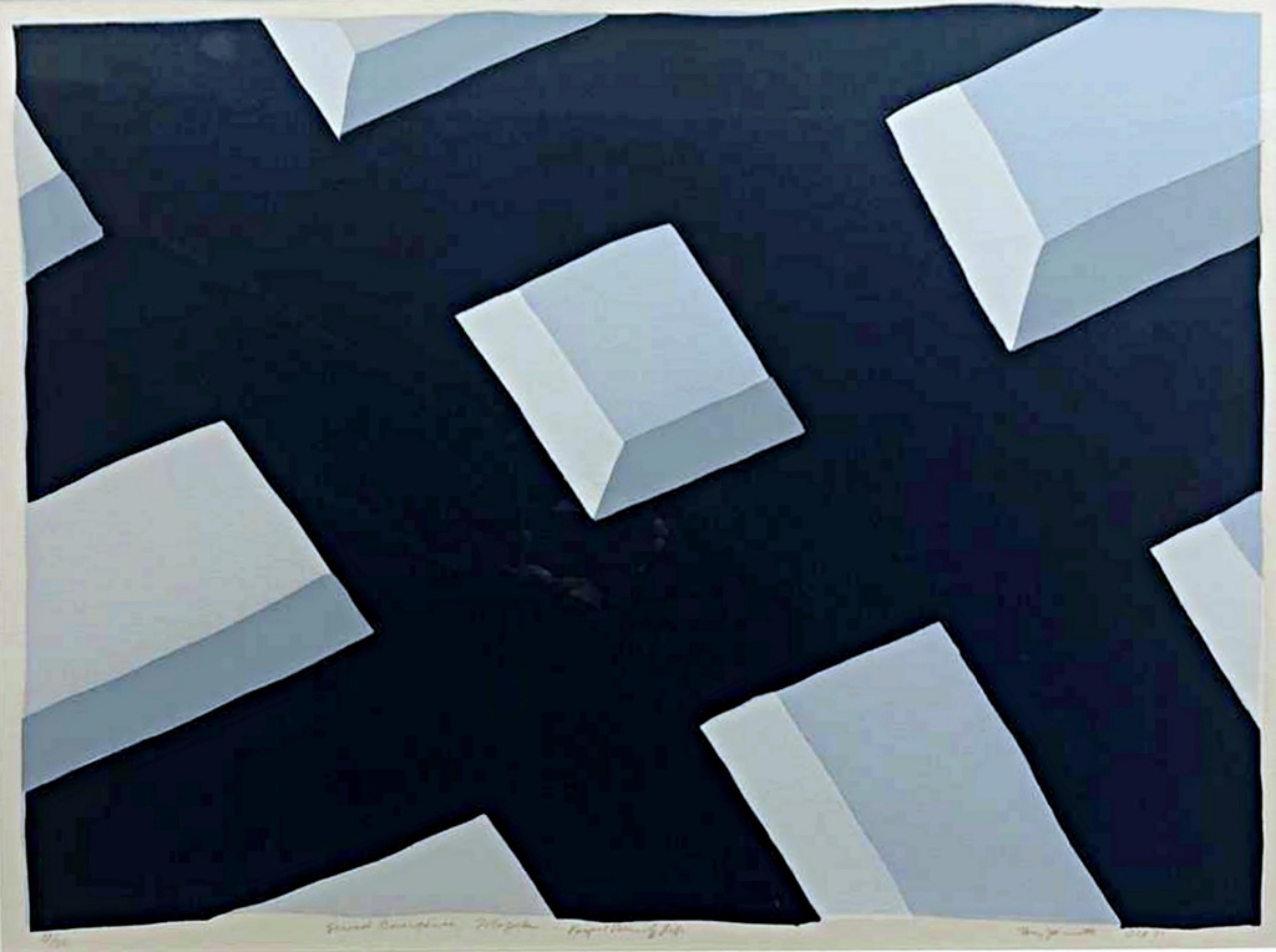 Tony Jannetti Abstract Print - Second Emergence, Perfect Pattern Of Life