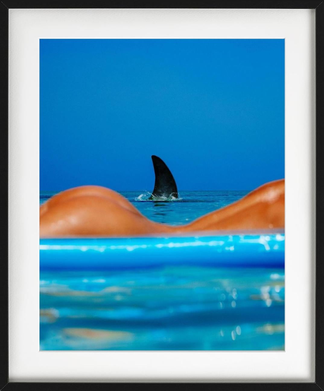 Shark Lady - parte posterior del cuerpo de una mujer desnuda con aleta de tiburón - Nude Photograph Azul de Tony Kelly