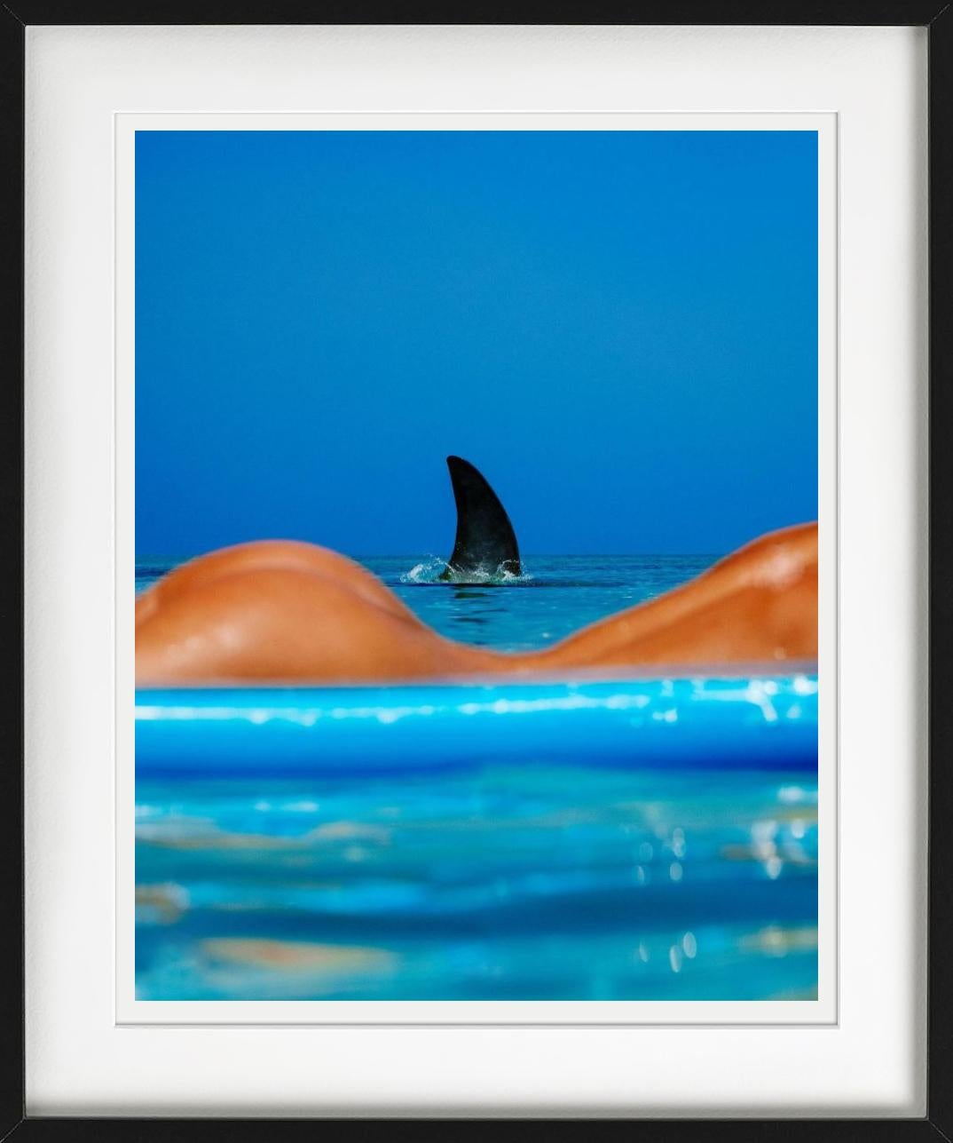 Shark Lady - parte posterior del cuerpo de una mujer desnuda con aleta de tiburón 

Todas las impresiones están disponibles en ediciones limitadas. Disponible en varios tamaños. Enmarcado de alta calidad disponible previa solicitud. 

Todas las
