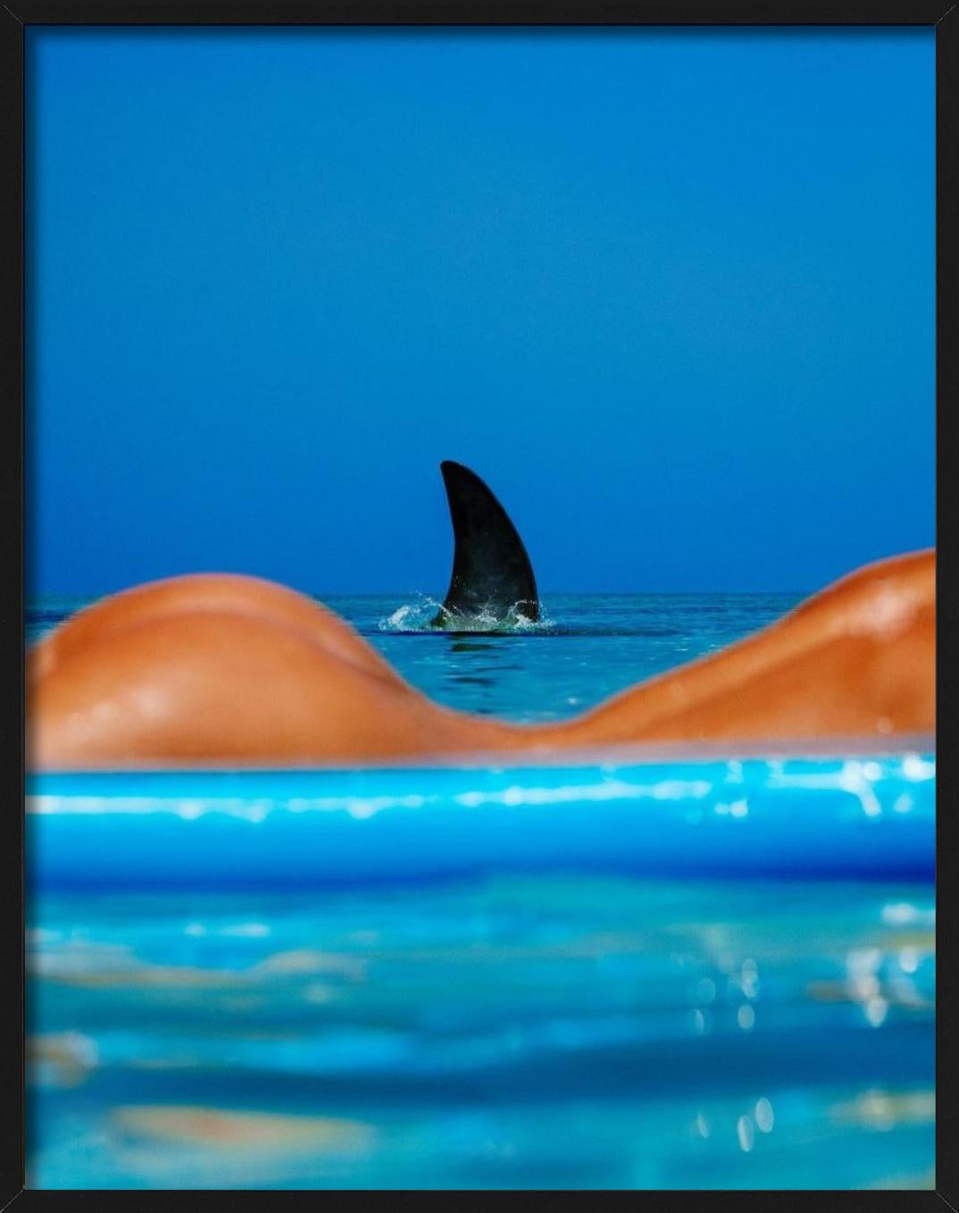 Shark Lady - parte posterior del cuerpo de una mujer desnuda con aleta de tiburón en venta 1
