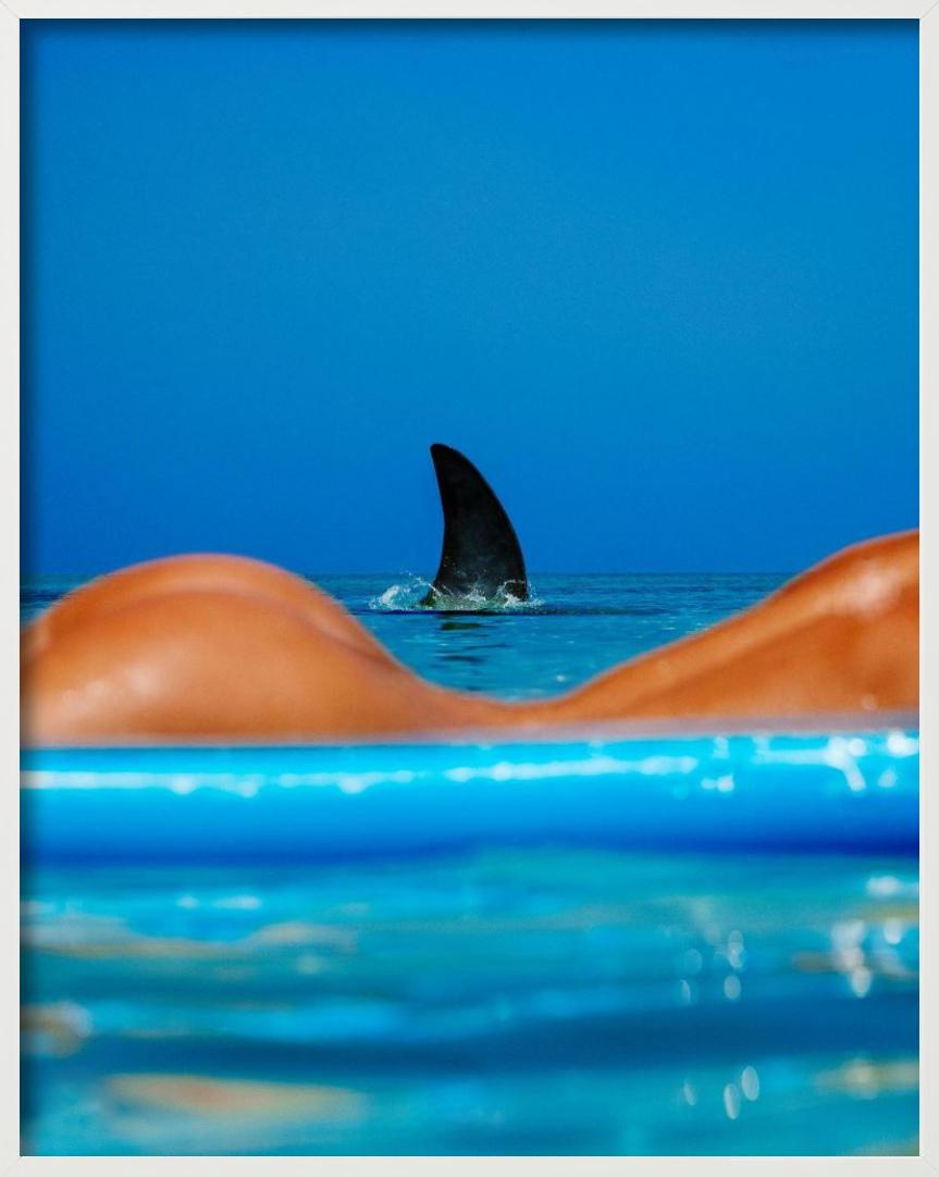 Shark Lady - parte posterior del cuerpo de una mujer desnuda con aleta de tiburón en venta 4